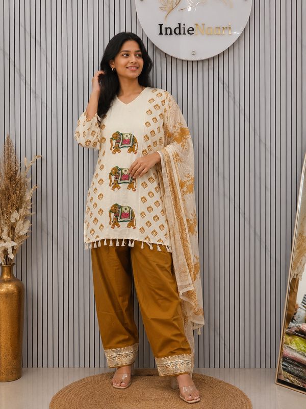Farshi elephant suit set